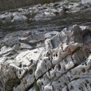 고생대자연박물관 이미지