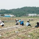 창녕인력 이미지