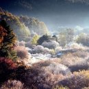 인제로L 이미지