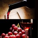 수원-1879 이미지