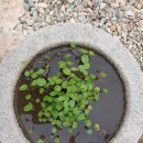 도토리도예공방