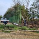 임실군 종합경기장 이미지