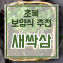 새싹인삼 장성농장