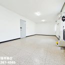 중앙동-13 이미지