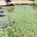 진서농장 이미지