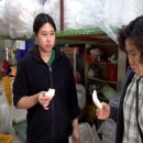 삼대농장 이미지