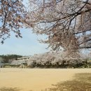 강남영상미디어고등학교 이미지