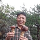 효은농장 네이버블로그