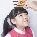 SD 복싱짐 네이버블로그
