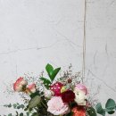 오션유치원 이미지