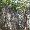 삼정약수터 이미지