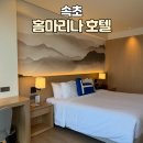 마리나카서비스 | 속초 홈마리나 호텔 뚜벅이 여행 숙소 추천_ 조식, 그랜드 디럭스 룸 컨디션 호수전망