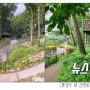 장척힐링 농촌체험마을 이미지