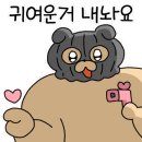 온천인정시장 이미지