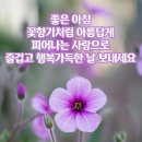 11년 살이온 숫총각과 이제겨우4개월 살아온 아기와 사랑~~~ 이미지