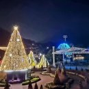 함평한우장터 이미지