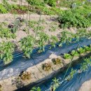 서율농장 이미지