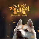 숲속의강아지 이미지