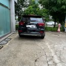 키다리아저씨 애견샵 | 당진 자연스러운 속눈썹 연장 맛집 | 선아이즈래쉬