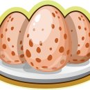 대한메추리 이미지