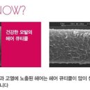송헤어 네이버블로그