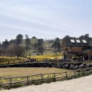 산업로5(남) 이미지