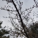 레이달리오 사계절투자 포트폴리오,레이달리오 금융위기예측, 원칙 ,백테스트 검증포토폴리오비졀라이저 이미지