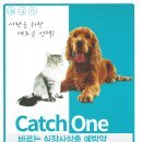 부여약국 이미지