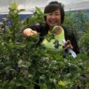 만이농장 이미지