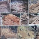 부소산성 낙화암 갈림길 이미지