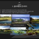 퍼시픽프리미엄투어 이미지