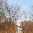 출산의 기억(자연분만, 시온여성병원, 40주6일)