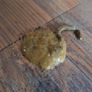 아리 동물병원 이미지