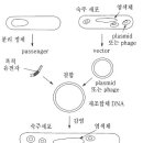김진욱농장 네이버블로그