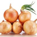 양파상회 이미지