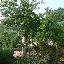 상리마을회관 앞 이미지