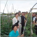 이정순농장 이미지