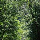 평화의댐물문화관 이미지