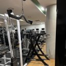 휘트니스 투데이 | 오늘은 여의도헬스 휘트니스투데이에서 등운동 하는날~!💪