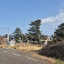 제주성산공인중개사사무소 이미지