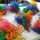 담양동초교 유치원 이미지