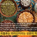 하루밀 - 춘천시 | 하루밀