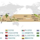 세운커피숍
