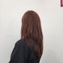 마잘헤어 녹번점