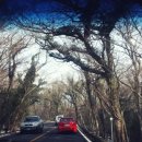 이어도식당 이미지