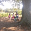 파랑새정원 이미지