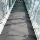 (주)세원항공여행사 | 몰디브로 해외여행기🛫: 시몽여행사에서!🎈