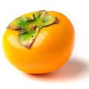 경남단감원예농협 이미지