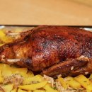 효창오리 이미지