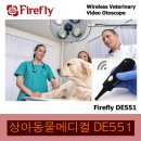 상아 동물메디컬 이미지